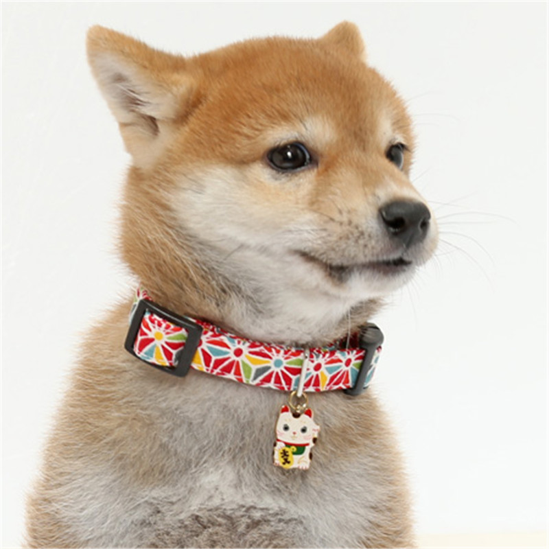 White Pig Store My Dog's Uniqu – Pet Supplies In Store recenzja i cena