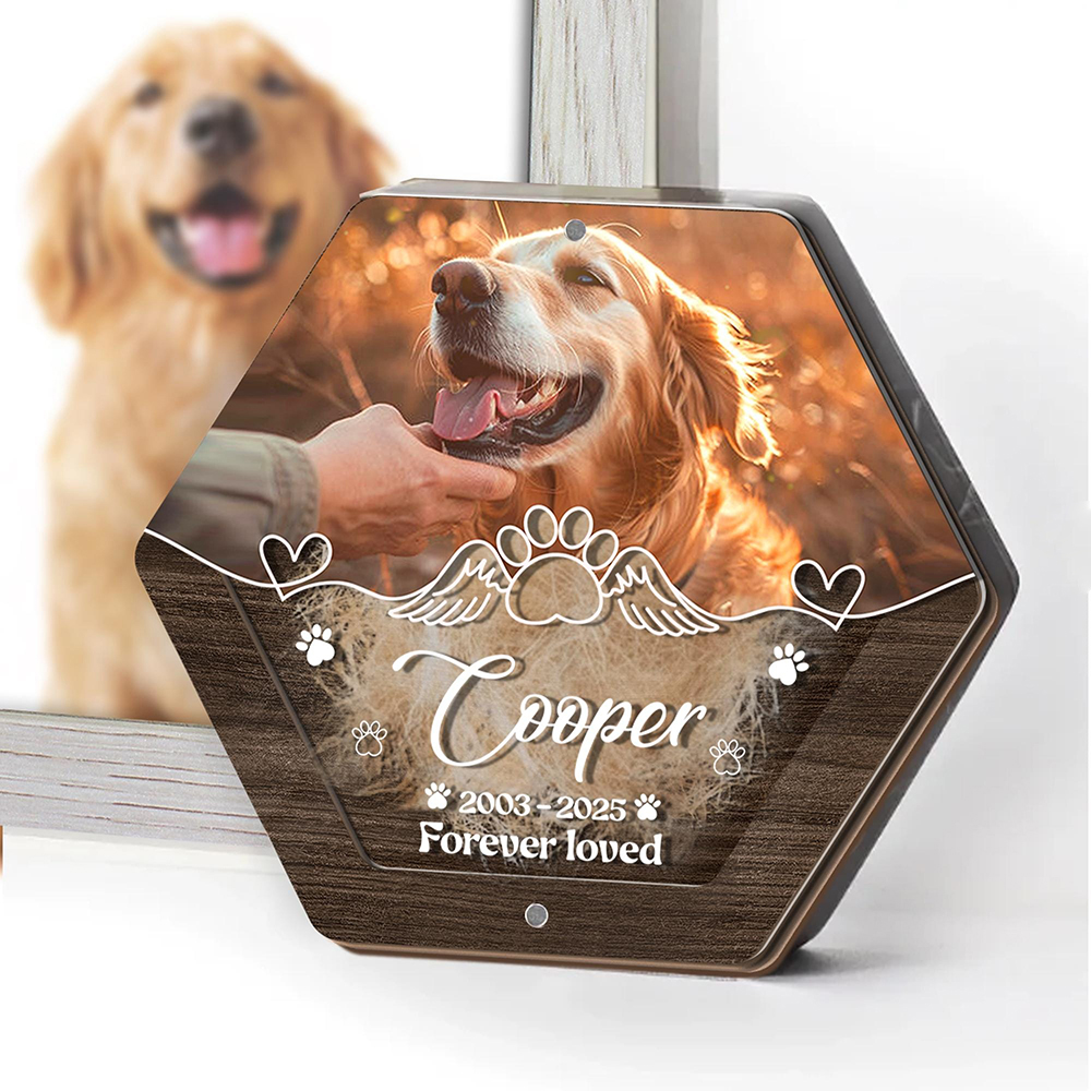 Personalized Name Wooden Carvi – Pet Supplies Stores recenzja i cena