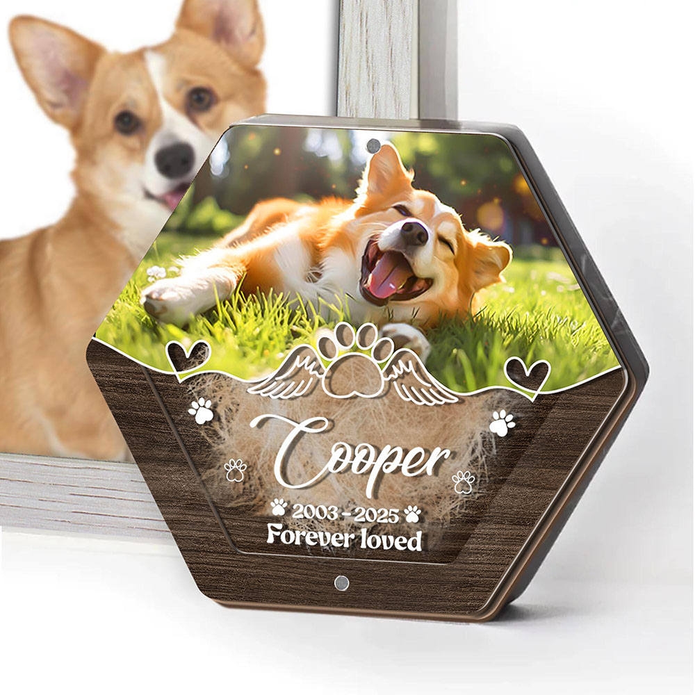 Personalized Name Wooden Carvi – Pet Supplies Stores recenzja i cena