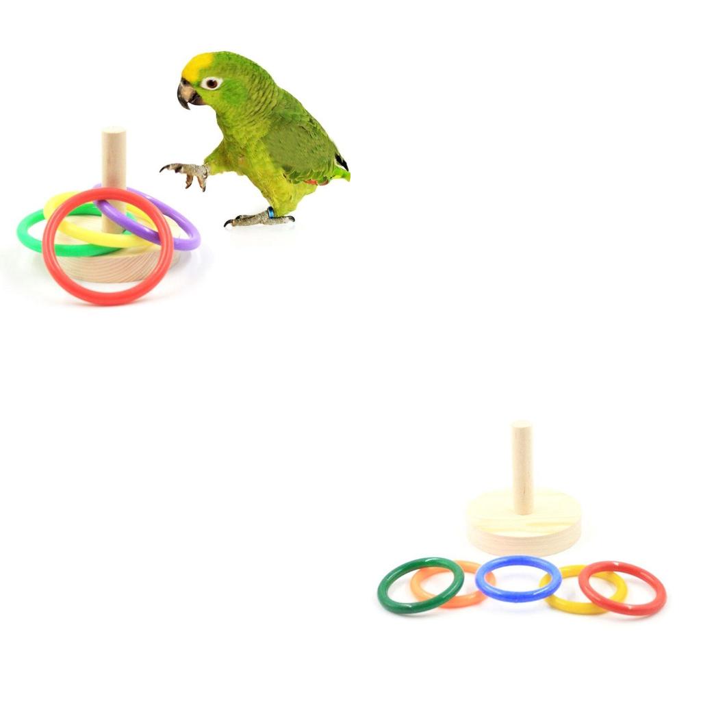 Bird Parrot Wooden Platform Pl – Pet Supplies Ringwood recenzja i cena