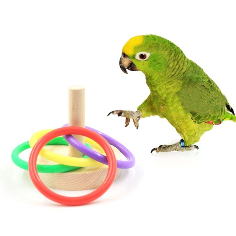 Bird Parrot Wooden Platform Pl – Pet Supplies Ringwood recenzja i cena