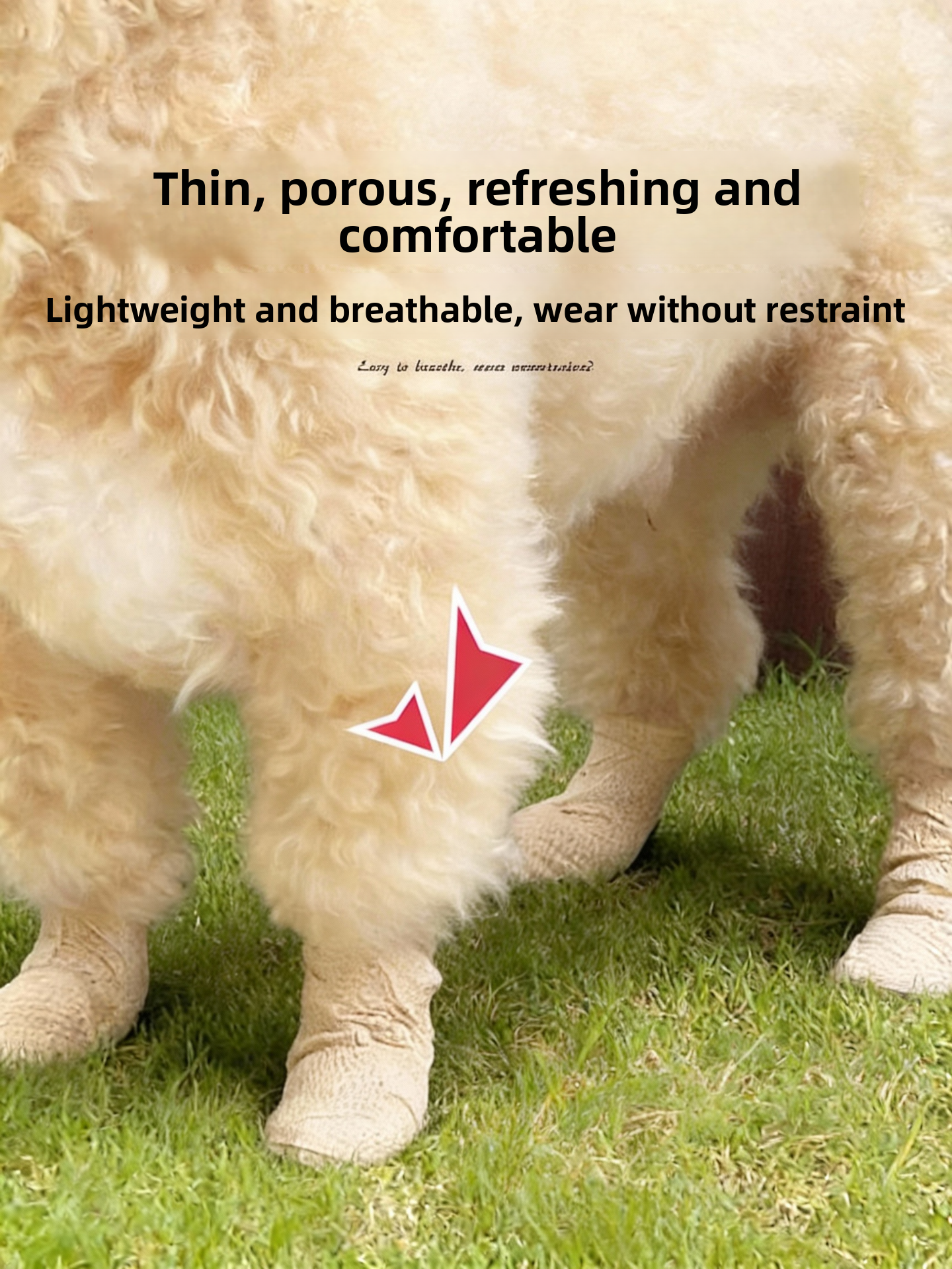 Anti-Slip Dog Foot Covers Disp – Pet Supplies For Dogs recenzja i cena