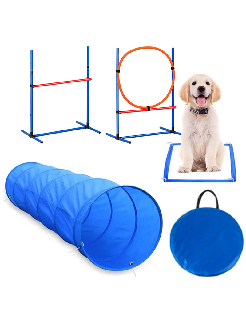 Dog Obstacle Training Competit – Pet Supplies For Dogs recenzja i cena