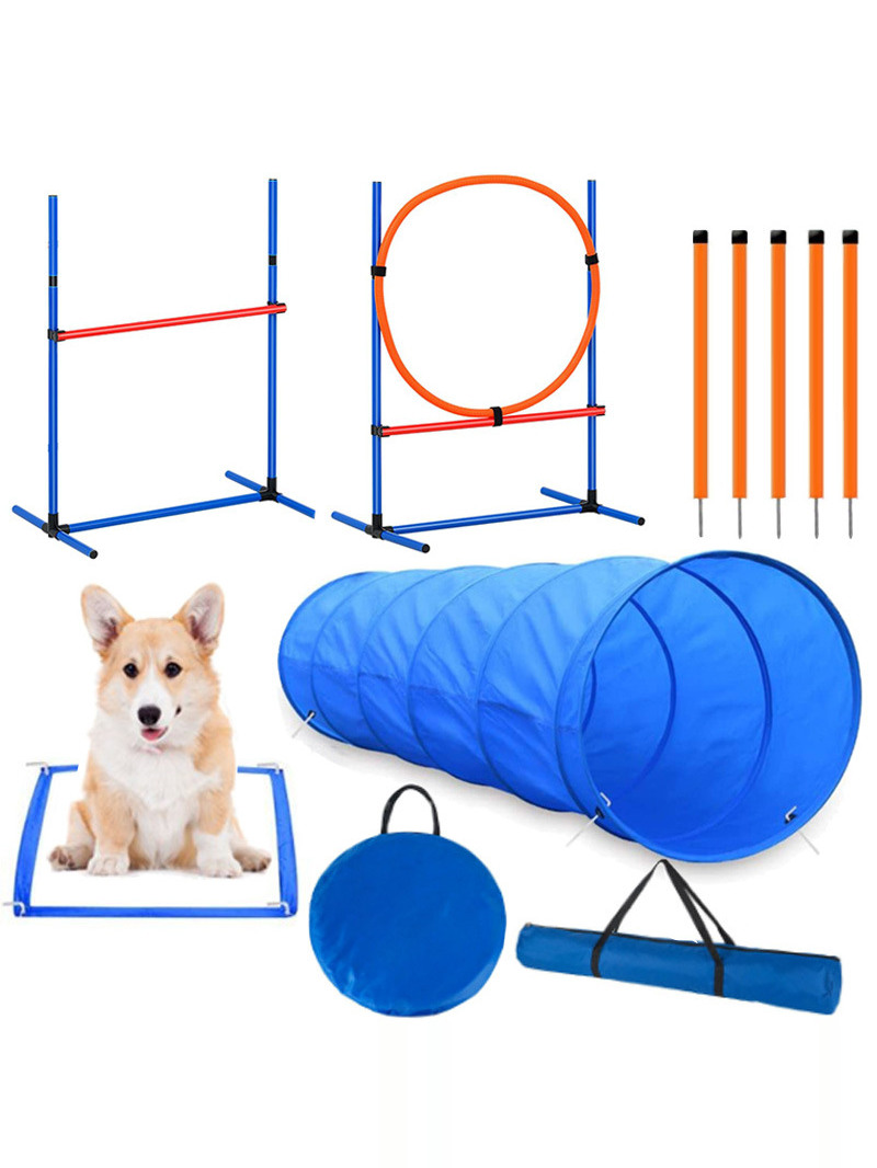 Dog Obstacle Training Competit – Pet Supplies For Dogs recenzja i cena