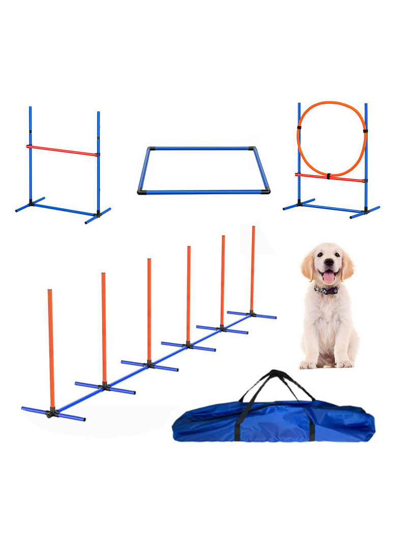 Dog Obstacle Training Competit – Pet Supplies For Dogs recenzja i cena