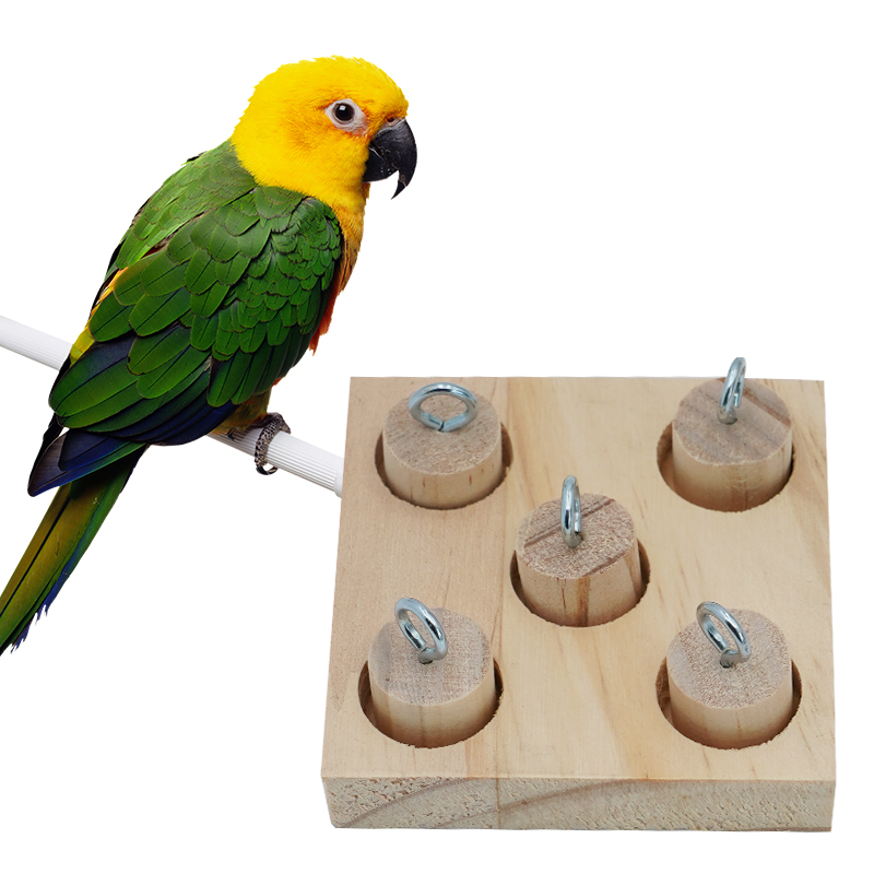Parrot Bird Toy Parrot Bite Ch – Pet Supplies Ringwood recenzja i cena