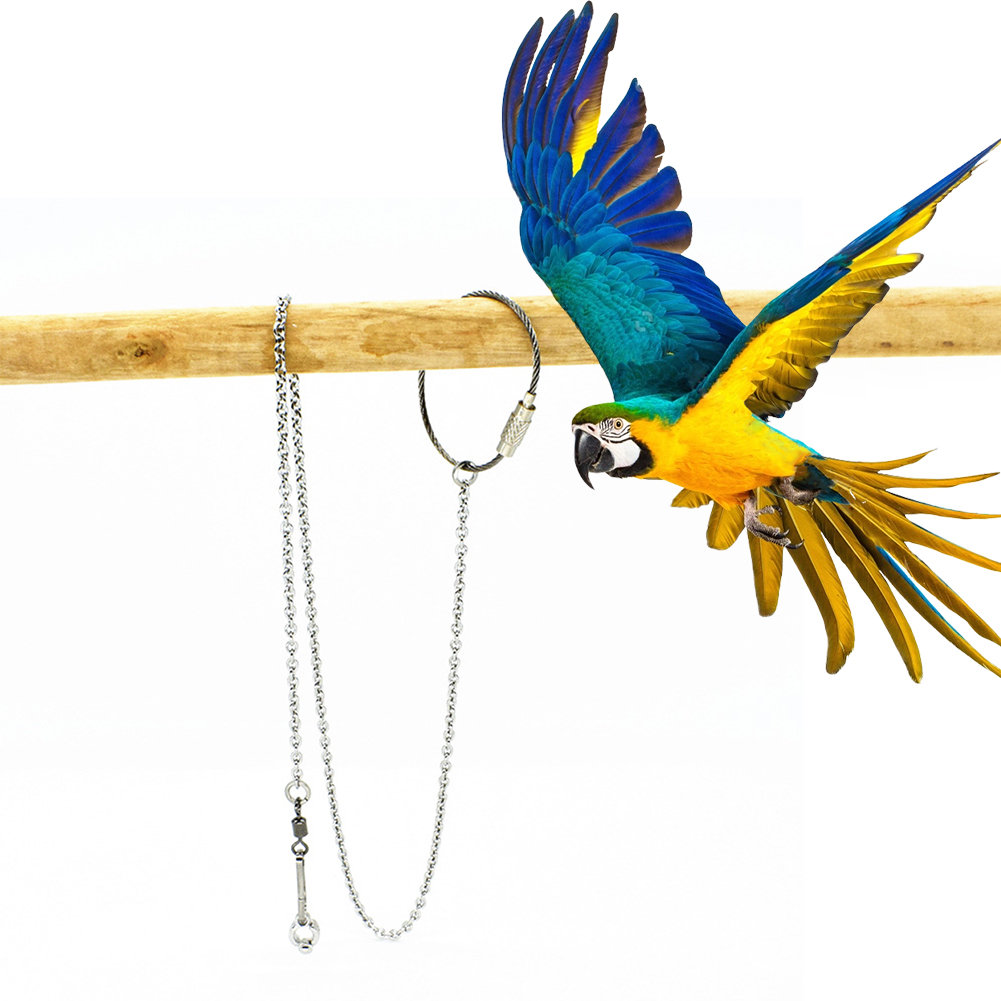 1Pcs Pet Parrot Leg Ring Ankle – Pet Supplies Ringwood recenzja i cena