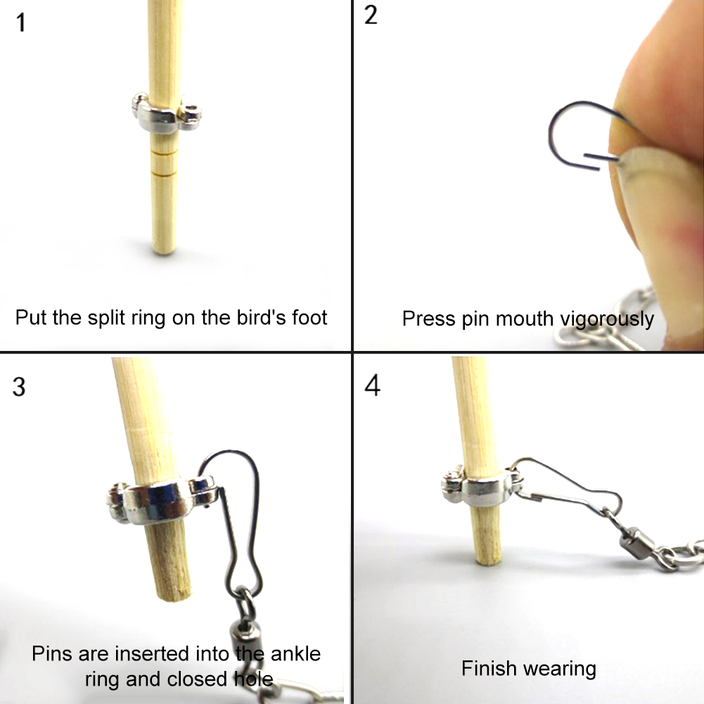 1Pcs Pet Parrot Leg Ring Ankle – Pet Supplies Ringwood recenzja i cena